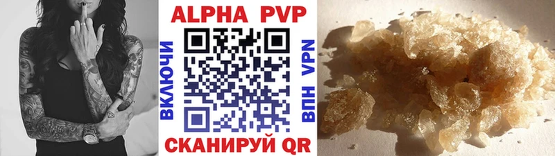 Купить закладки  Порхов  Alpha PVP СК КРИС 
