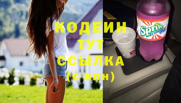СК Козельск