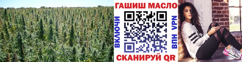 Дистиллят ТГК THC oil  Купить закладки  Порхов 