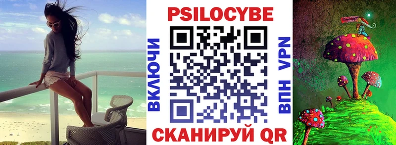 Галлюциногенные грибы прущие грибы  Купить  Порхов 
