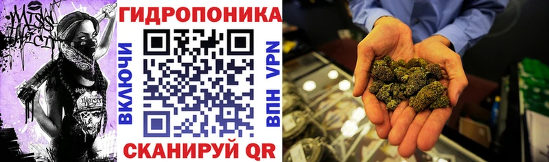 Купить закладки  Порхов  Шишки марихуана Amnesia 